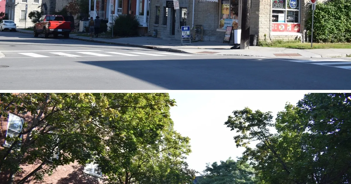 Ottawa Police Seek Suspect in Sandy Hill Break-and-Enters
