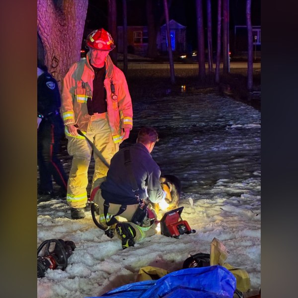 Ottawa Firefighter Who's Also a Vet Saves Dog Injured in Crash, And It's the Heartwarming Story We Needed