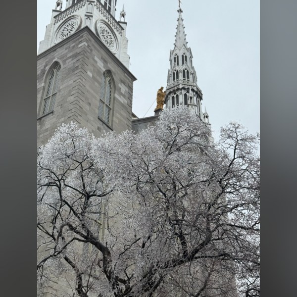 Ottawa Turns to Glass: Photos From the City March 2026 Ice Storm