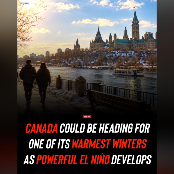 Could Ottawa Be in for One of Its Mildest Winters Yet?