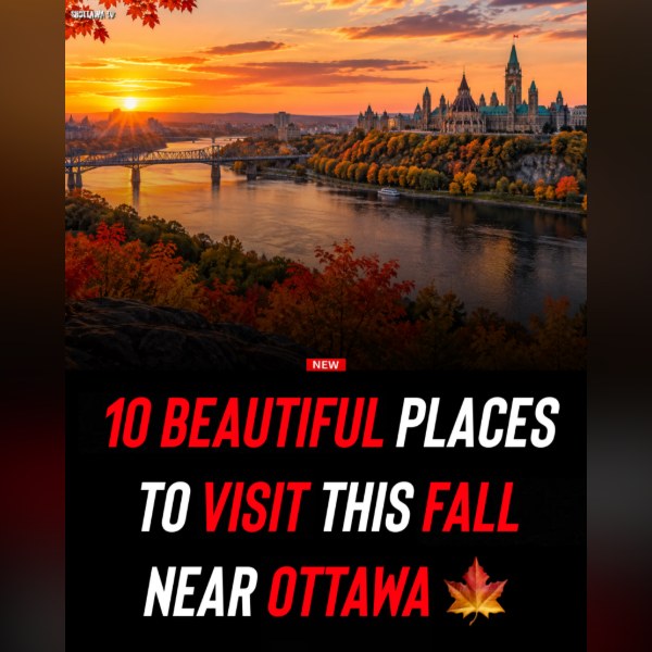 10 Fall Colour Spots Near Ottawa Worth a Trip This Season